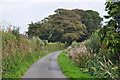 West Somerset : Country Lane