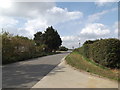 TL7965 : Newmarket Road, Risby by Geographer