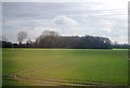 Farmland and woodland