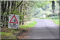 West Somerset : Country Lane