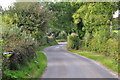 West Somerset : Country Lane