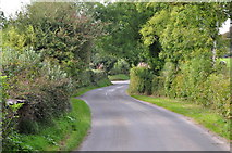ST0229 : West Somerset : Country Lane by Lewis Clarke