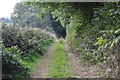 West Somerset : Farm Track