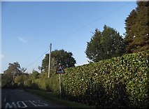 TQ0095 : Burtons Lane, Little Chalfont by David Howard
