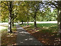 Path in Alexandra Park