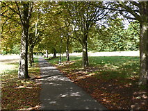 TQ3090 : Path in Alexandra Park by Nigel Mykura