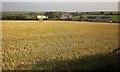 Field and houses, Parker