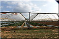 Greenhouse domes