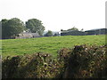 Farm sheds on the east side of Annaghmare Road