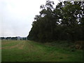 SE9207 : Farmland beside Sweeting Thorns Woodland by JThomas