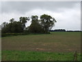 Farmland west of Scotter Road South