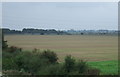 Farmland west of the M181