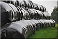 West Somerset : Silage Bales