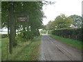 TL3520 : Sacombe: Lowgate Lane Roman Road by Nigel Cox