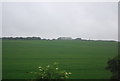 Farmland south of Knebworth