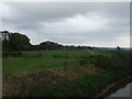 Farmland beside Bottesford Beck, East Butterwick