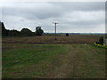 Farmland, East Butterwick