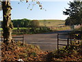 Gap in the fence beside Cathkin Braes woodland