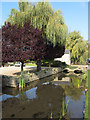 River Thames in Ashton Keynes