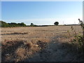 Field of stubble near Creampots Farm