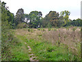 Field edge footpath, Chalfont St. Peter