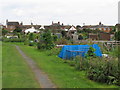 Allotments near public footpath, Hatfield Peverel