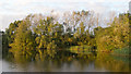 Gadwell Lake, Chigborough Lakes Nature Reserve