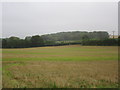 View from Fair Lane towards Winnall Down Farm