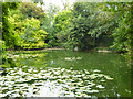 Hampden Pond, Wendover