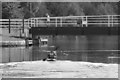 Canoeist at Purton