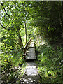 Border Abbeys Way above Hornshole Bridge