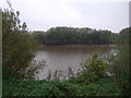 River Trent near Owston Ferry