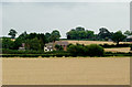 SP1658 : Wheat field east of Wilmcote, Warwickshire by Roger  D Kidd