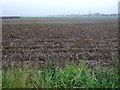 Potato field near Wildsworth