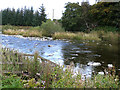 River Teviot by Midshiels