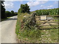 Corn growing in a field and a local walks map on the gate