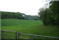 Farmland off Butcherfield Lane