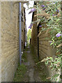 Narrow lane