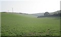 View into a dry valley near West Chaldon