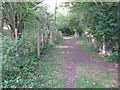 Chipstead:  Public footpath ahead