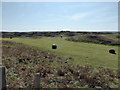 Looking inland from above Ogof Gynfor