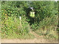 Path to Scotsgrove Mill leaves Moorend Lane