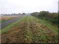 River Trent flood bank