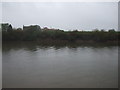 Looking across the River Trent