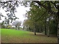 Green space beside the Union Canal