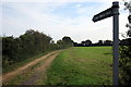 Bridleway towards Roxton