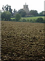 Field by the bridleway with Renhold church beyond