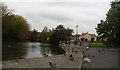 Tickhill mill dam.