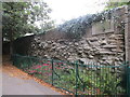 Remains of the Roman Wall