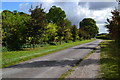 Lane near Leckford plantation